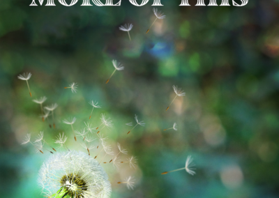 “More of This” Lyric Video – by The Song Gardeners